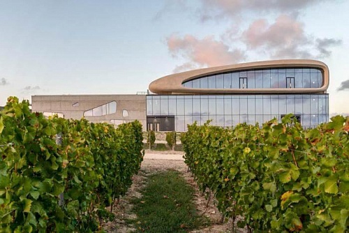The Skalistyi Bereg Gravity Winery Qualifies for the World Architecture Festival Award in the Industrial Architecture Category