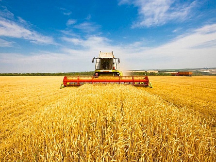 Tkachev Agrocomplex to start direct exports of grain